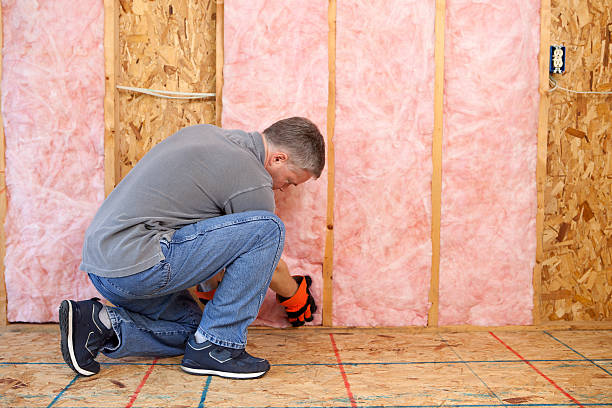 Best Commercial Insulation in Edgard, LA