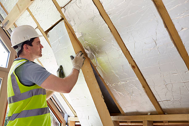 Best Types of Insulation in Edgard, LA