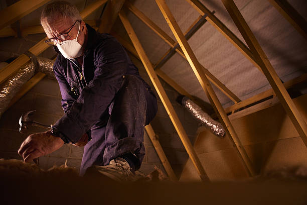 Best Insulation for Specific Applications in Edgard, LA